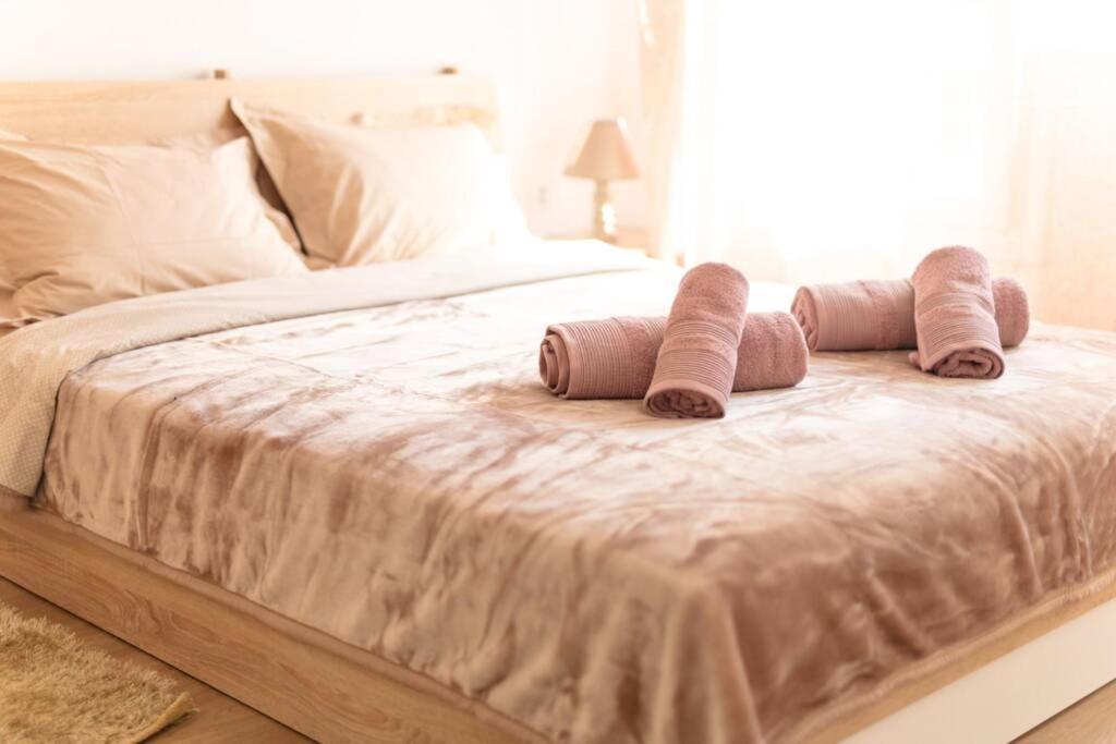 Argy'S Home อเล็กซานโดรโพลิส ภายนอก รูปภาพ